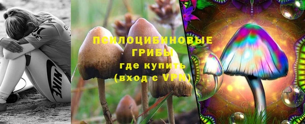 крисы Горнозаводск