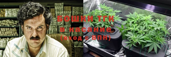 сатива Горно-Алтайск