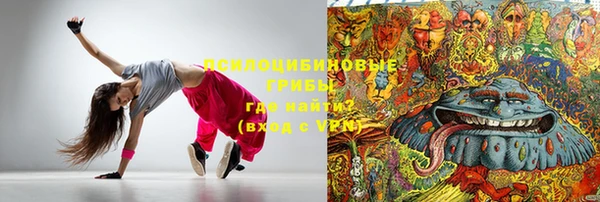 крисы Горнозаводск
