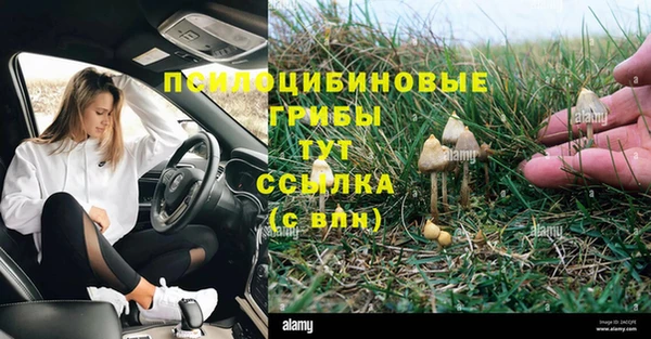 сатива Горно-Алтайск