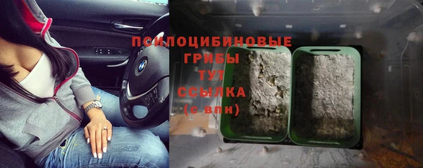крисы Горнозаводск