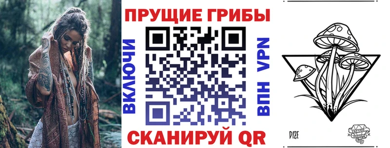 Купить  Алдан  Псилоцибиновые грибы прущие грибы 